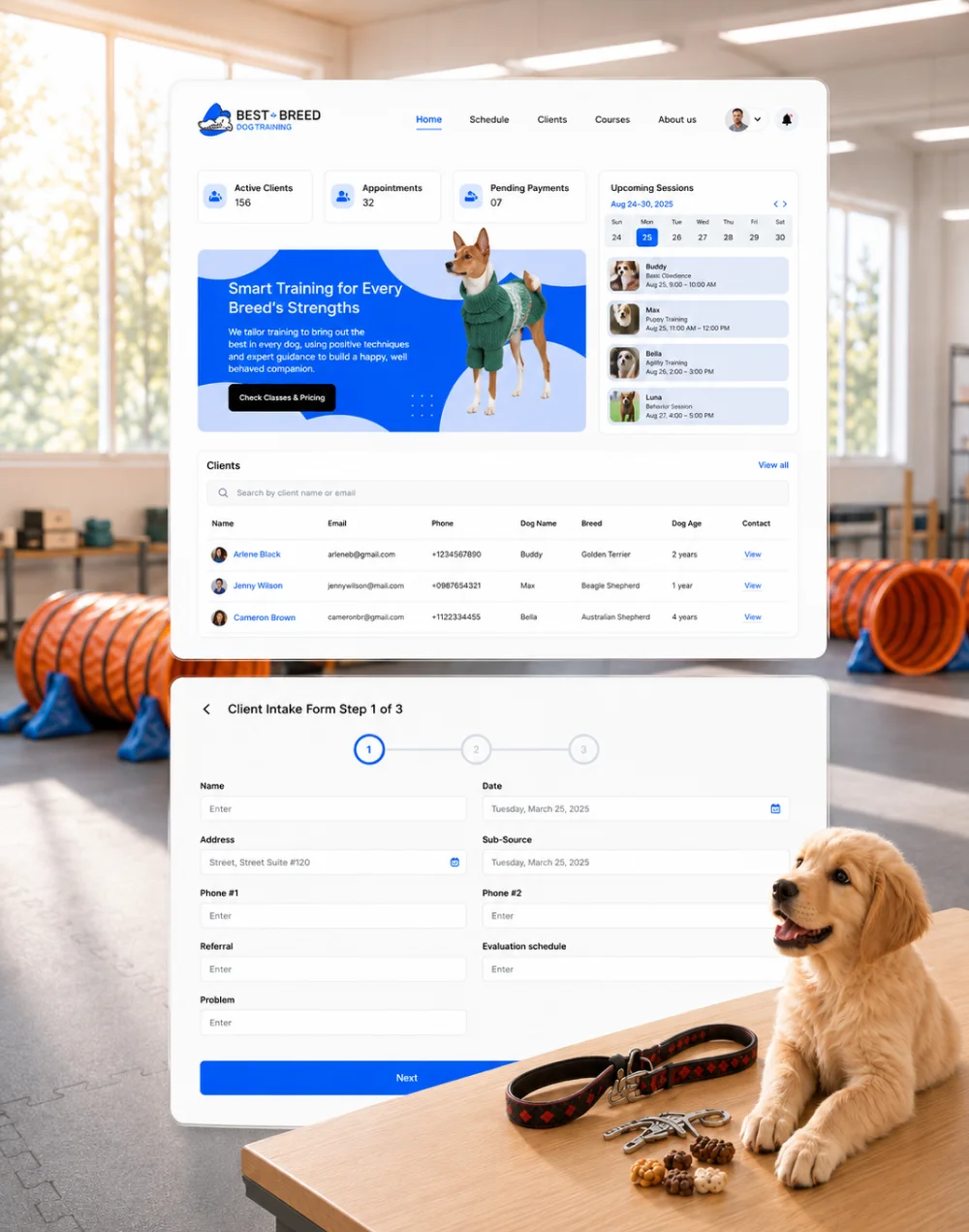 portfolio