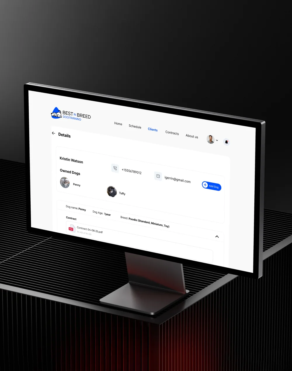 portfolio