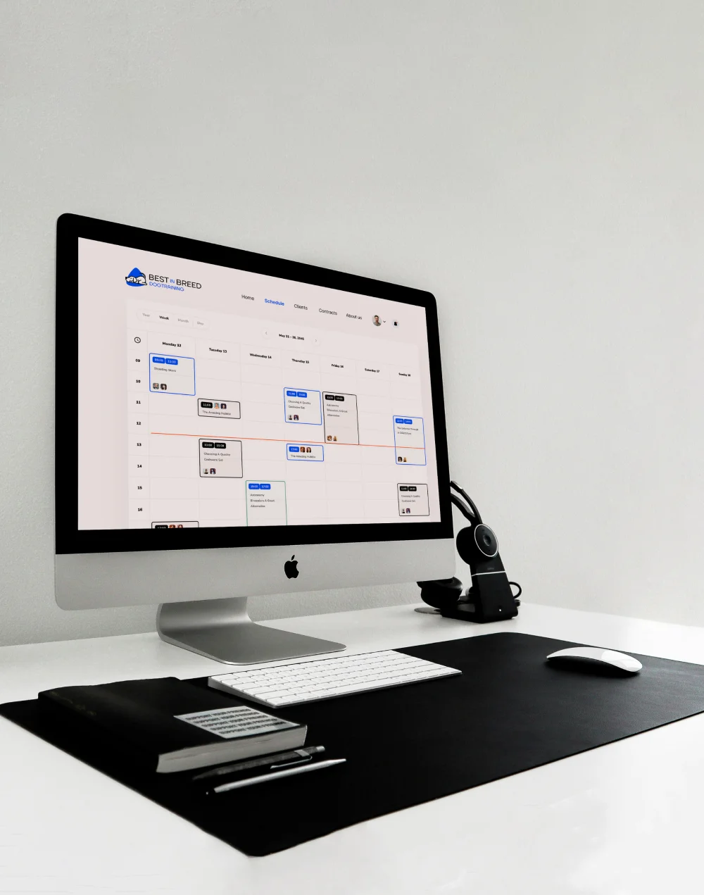 portfolio