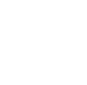 googleicon